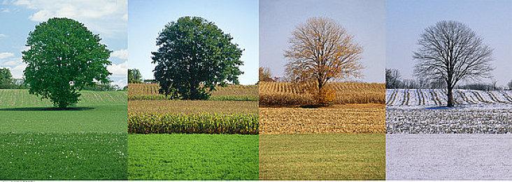 《最后的生还者：重制版》中字预告 为次世代而生