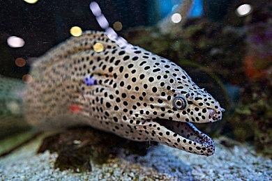 育碧计划再推出四款《刺客信条》游戏 风格将截然不同